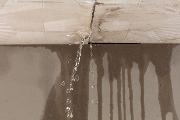 Professional Structural Drying technician working in San Felipe, TX